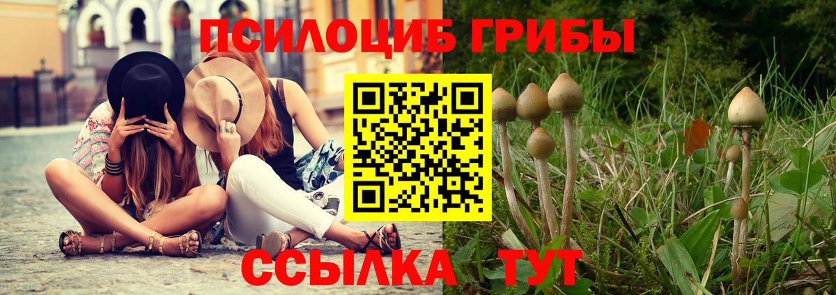 Псилоцибиновые грибы ЛСД  Галлюциногенные грибы прущие грибы  Вход с VPN  Благовещенск 